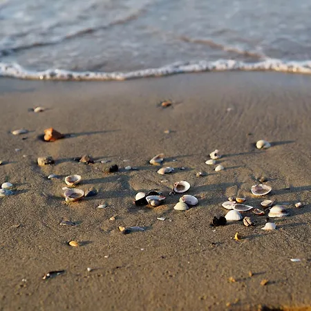 Wonderful Seafront In *