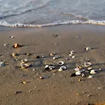 Wonderful Seafront In *